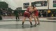 285lbs Chris Birchler Edinboro- vs. Eddie Bordas Rider-