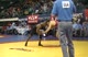 66 KG SF US OPEN Josh Churella VS Teyon Ware