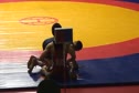 55 kg rep