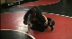 Malinconico Backdoor Finish From Highcrotch