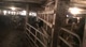 The Strittmater Farm