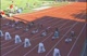 TV Broadcast - Women's 100m