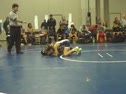 Minion Duals MS 80#