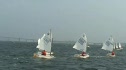 Day 2 - Green Fleet Race 5