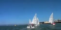 The Cheeseburger - St. Francis Yacht Club