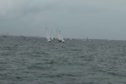 Men's 470 Medal Race pt 6