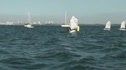 Opti Race 5 - Purple-Teal