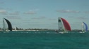 Red Race 7