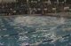 M college 200 scy free relay finals ha d1