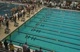 m 100 scy free final ha d3