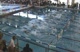 w college 100 scy free final d3 hb