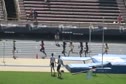 G 4x800 H01 (Emerging Elite)