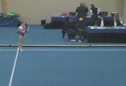 Lark Pokladnik FX Tx Lev 10 State 2009