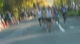 Sports Basement Elite Mile